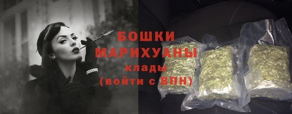 СК Вязьма