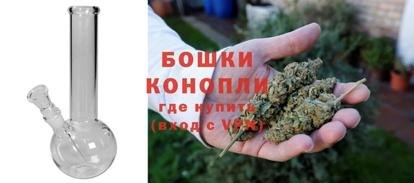 ГАЛЛЮЦИНОГЕННЫЕ ГРИБЫ Вязники