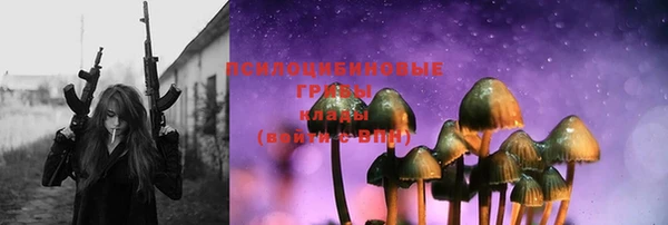 ГАЛЛЮЦИНОГЕННЫЕ ГРИБЫ Вязники