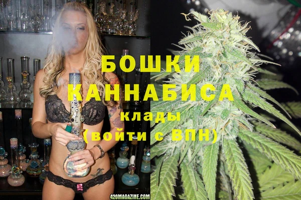 ГАЛЛЮЦИНОГЕННЫЕ ГРИБЫ Вязники