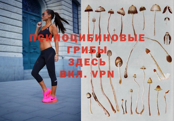 ГАЛЛЮЦИНОГЕННЫЕ ГРИБЫ Вязники