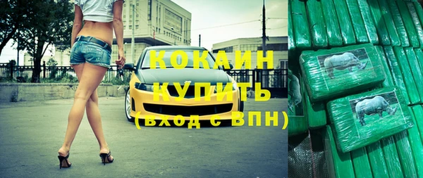 СК Вязьма