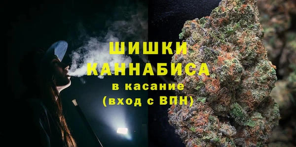 ГАЛЛЮЦИНОГЕННЫЕ ГРИБЫ Вязники