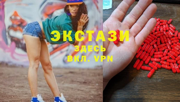 СК Вязьма