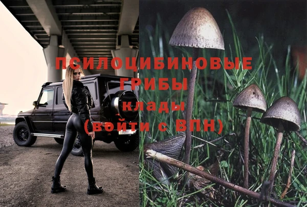 СК Вязьма