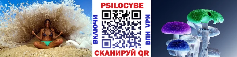 где купить МЕГА сайт Псилоцибиновые грибы Cubensis Гусиноозёрск
