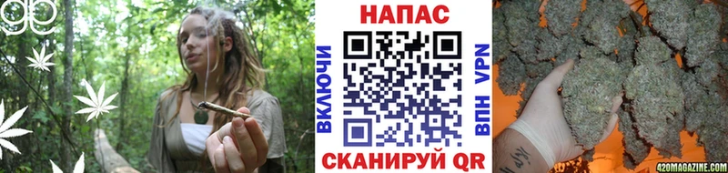 Каннабис OG Kush  цены наркотик  Гусиноозёрск 